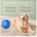 Smart Interactive Moving Ball Dog & Cat Toy – USB Automatic Bouncing Pet Toy