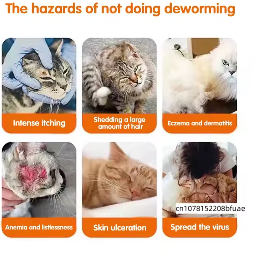 Pet Deworming Tablets for Dogs & Cats – Broad Spectrum Internal Parasite Treatment