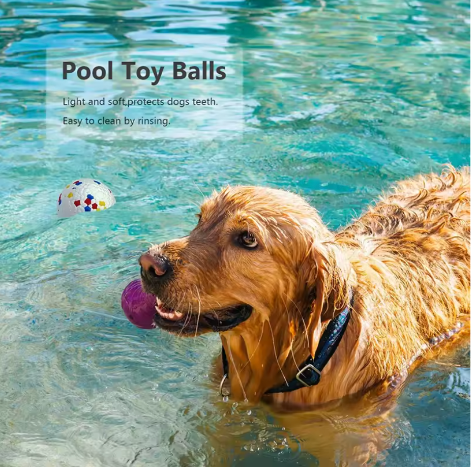 Bite-Resistant E-TPU Dog Ball Toy – High Elasticity Chew Toy for Small & Large Dogs