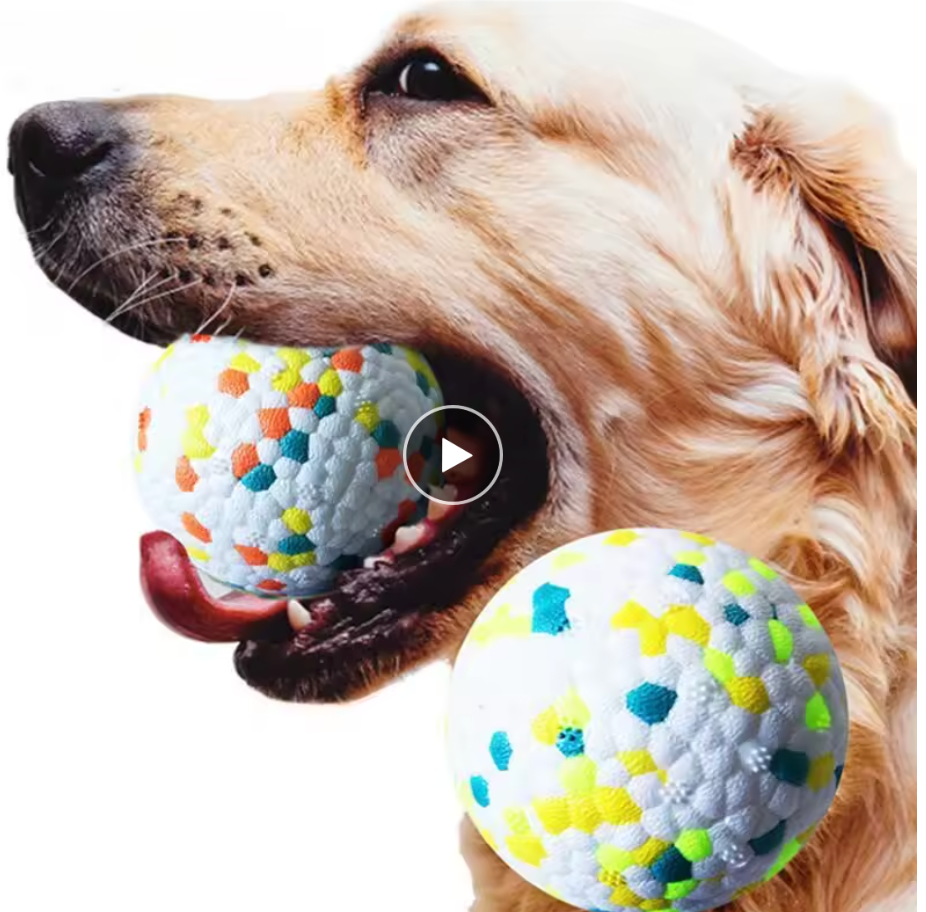 Bite-Resistant E-TPU Dog Ball Toy – High Elasticity Chew Toy for Small & Large Dogs